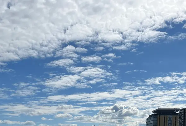 大津湖岸なぎさ公園おまつり広場の写真・動画_image_1221837