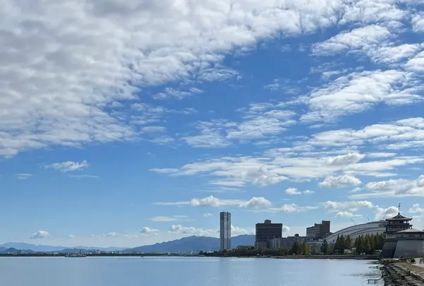 大津湖岸なぎさ公園おまつり広場の写真・動画_image_1221838