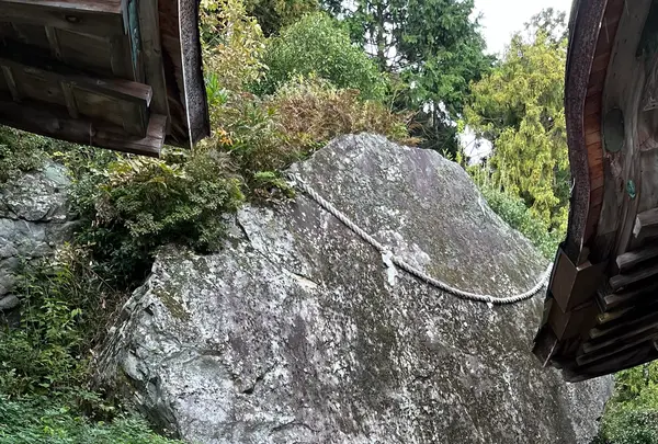 日吉大社の写真・動画_image_1221950