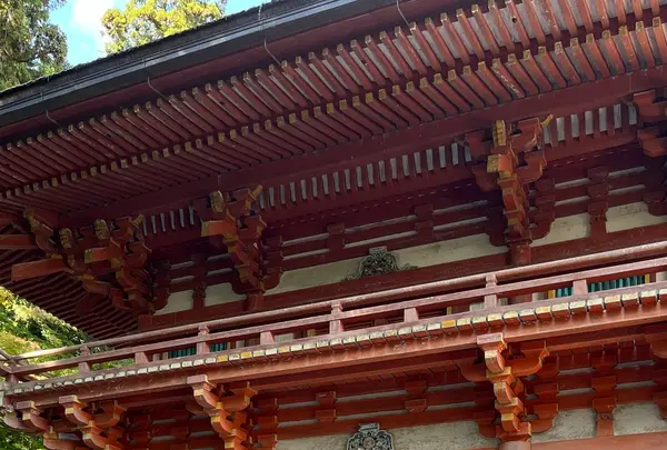 日吉大社の写真・動画_image_1221954