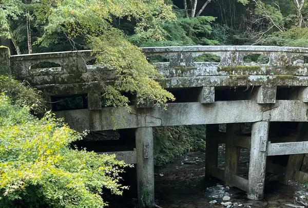 日吉大社の写真・動画_image_1221956