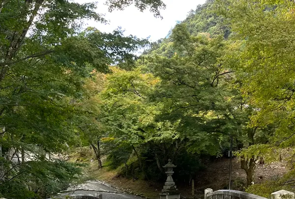 日吉大社の写真・動画_image_1221957