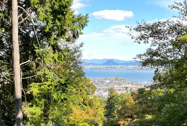 日吉東照宮の写真・動画_image_1221963