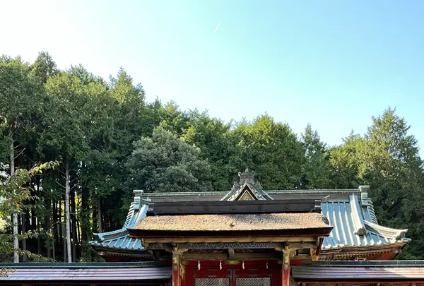 日吉東照宮の写真・動画_image_1221966