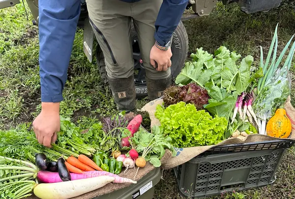 カラフル野菜 伝統野菜の繁昌農園の写真・動画_image_1222963