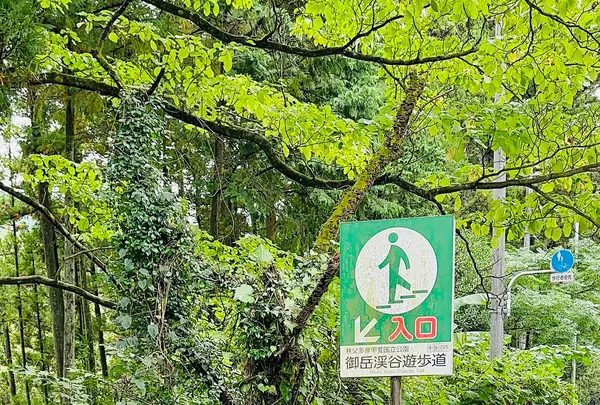 御岳渓谷の写真・動画_image_1223376