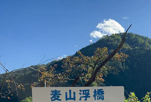 奥多摩湖の写真・動画_image_1223491