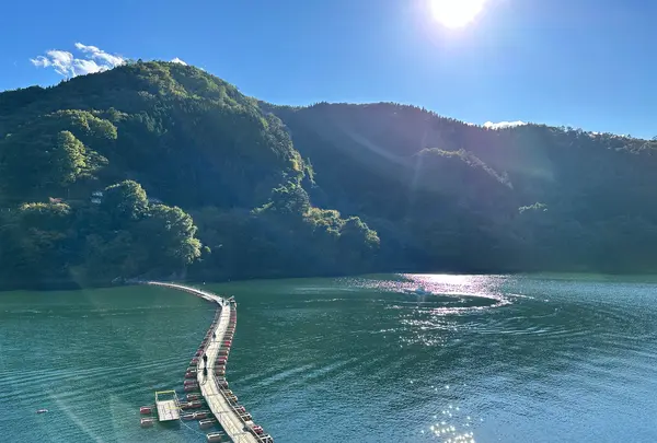 奥多摩湖の写真・動画_image_1223492