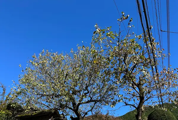 釜めし なかいの写真・動画_image_1223507