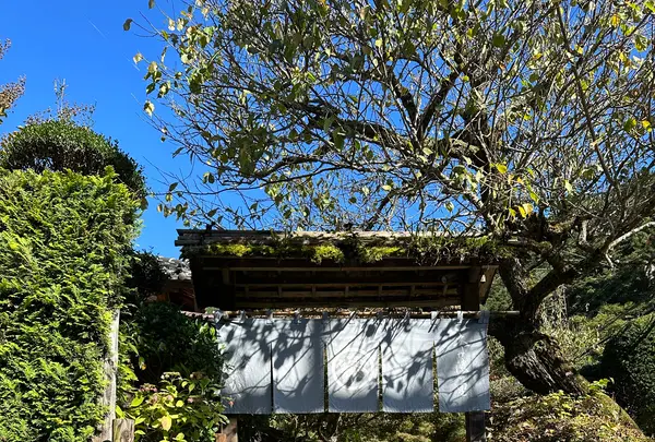 釜めし なかいの写真・動画_image_1223508