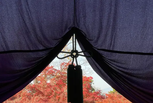 永観堂（禅林寺）の写真・動画_image_1225108