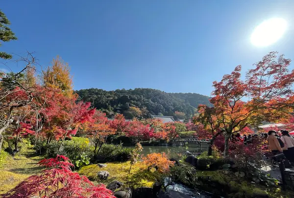 永観堂（禅林寺）の写真・動画_image_1225110