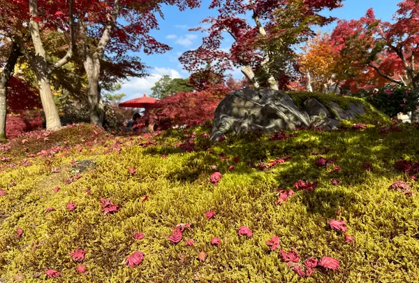 永観堂（禅林寺）の写真・動画_image_1225111