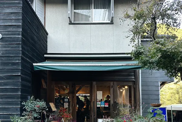 山鳩の写真・動画_image_1230826