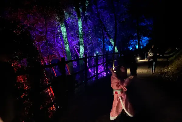 ニジゲンノモリ × 『鬼滅の刃』 「ナイトウォーク那田蜘蛛山」の写真・動画_image_1231756