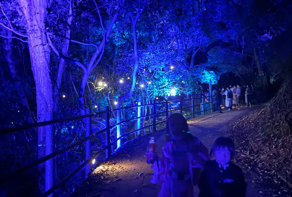 ニジゲンノモリ × 『鬼滅の刃』 「ナイトウォーク那田蜘蛛山」の写真・動画_image_1231759