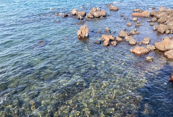 桜島溶岩なぎさ公園＆足湯の写真・動画_image_1232728