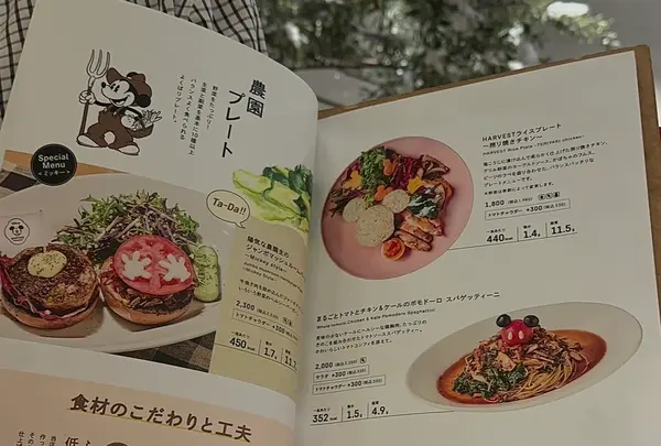 Disney HARVEST MARKET By CAFE COMPANY（ディズニー・ハーベスト・マーケット）の写真・動画_image_1235124