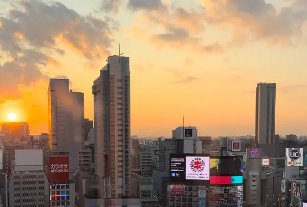 スカイロビーの写真・動画_image_1235143