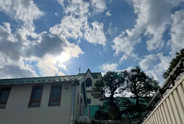 ハリス記念鎌倉幼稚園の写真・動画_image_1241742