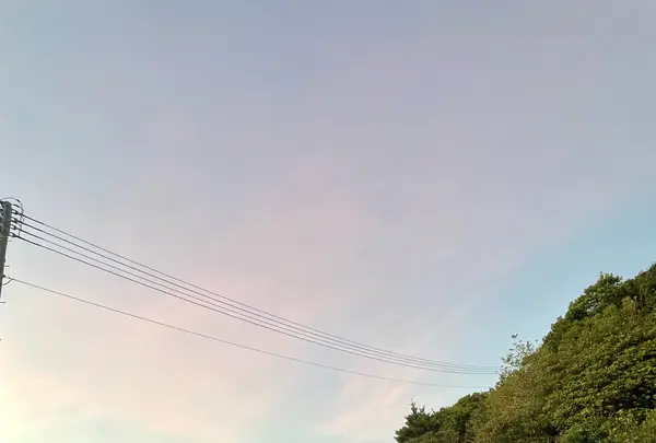 大瀬崎灯台展望台の写真・動画_image_1245293