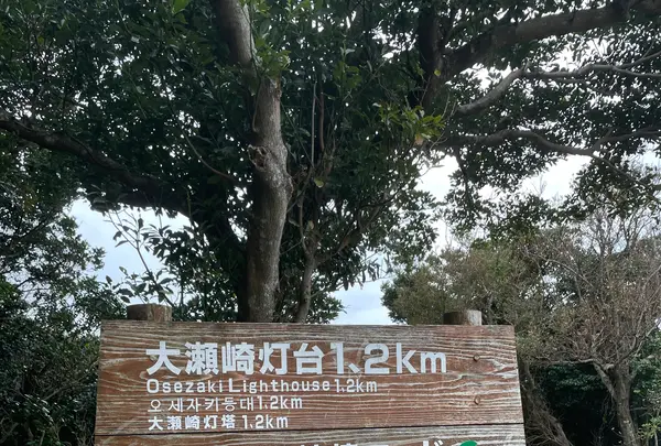 大瀬崎灯台の写真・動画_image_1245337