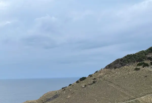 大瀬崎灯台の写真・動画_image_1245339