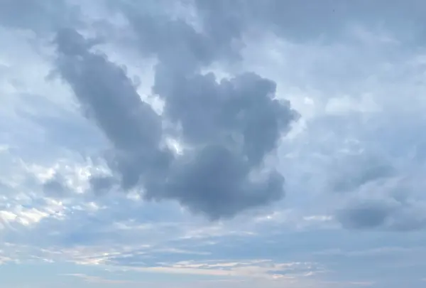 大瀬崎灯台の写真・動画_image_1245340