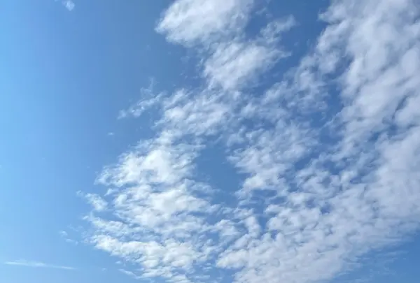 魚津ヶ崎公園の写真・動画_image_1245344