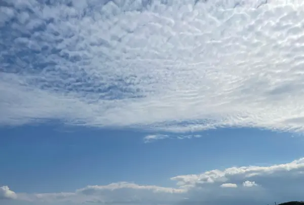 高崎ビーチの写真・動画_image_1245365