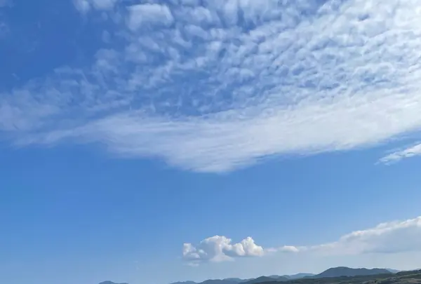 高崎ビーチの写真・動画_image_1245366