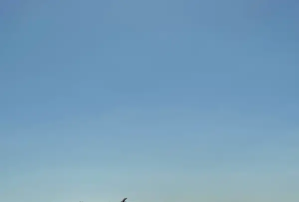 五島バス香珠子椿茶屋の写真・動画_image_1245368