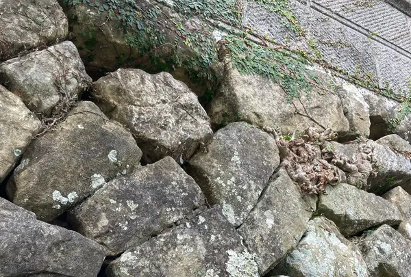 カトリック頭ヶ島教会の写真・動画_image_1245388