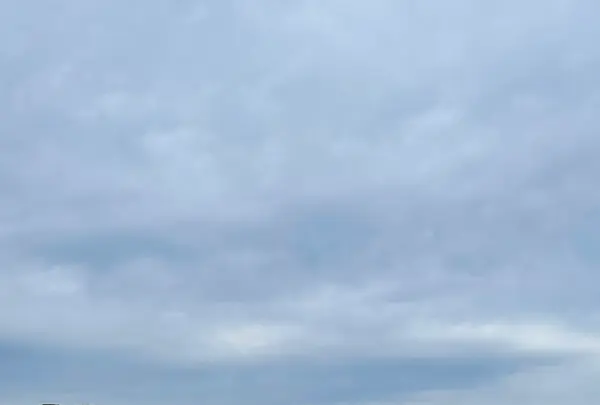 蛤浜海水浴場の写真・動画_image_1245400