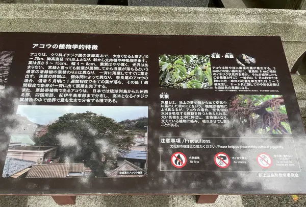 奈良尾神社の写真・動画_image_1245407