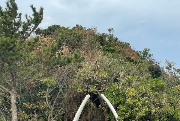 海童神社の写真・動画_image_1245447