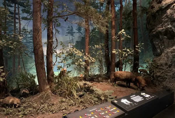 埼玉県立自然の博物館の写真・動画_image_1252109