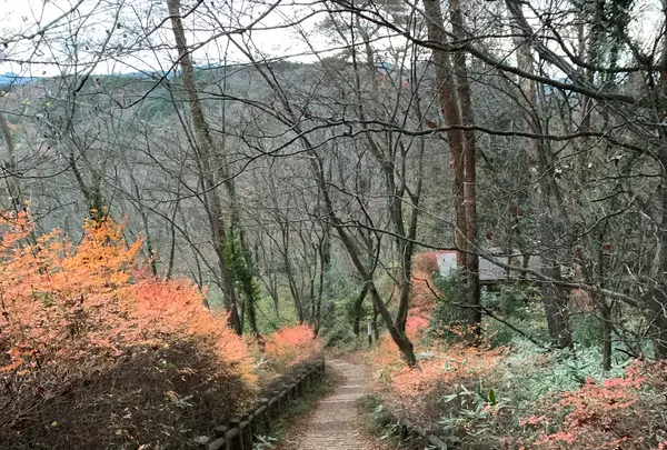 天覧山の写真・動画_image_1253765