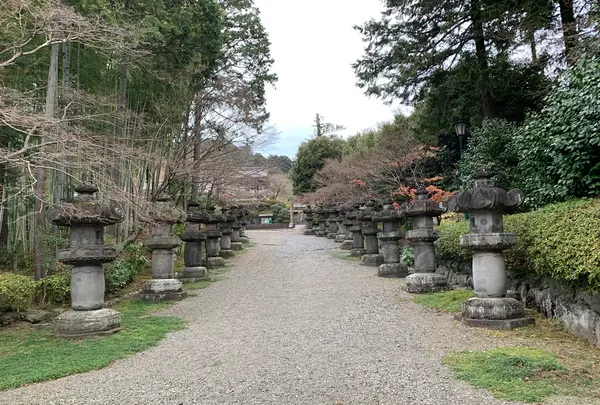 能仁寺の写真・動画_image_1253771