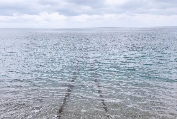 海に続く線路の写真・動画_image_1256399