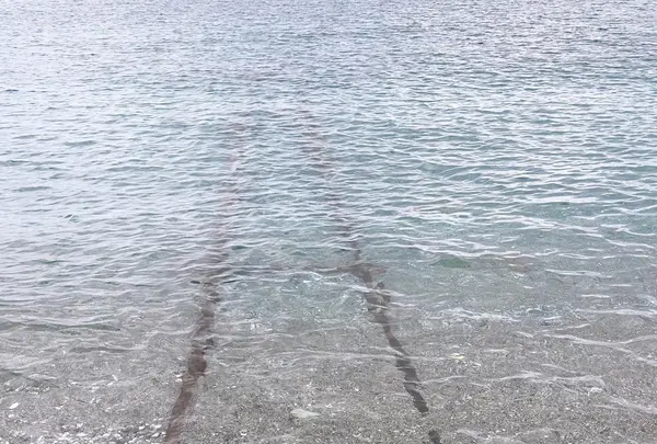 海に続く線路の写真・動画_image_1256400