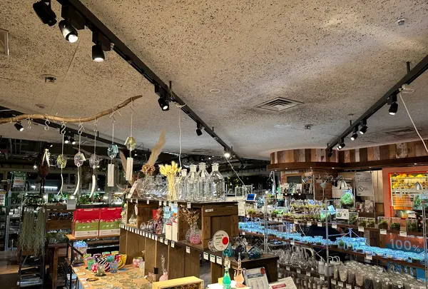 東急ハンズ 渋谷店の写真・動画_image_1258514