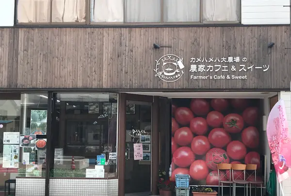 カメハメハ大農場の農家カフェ&スイーツの写真・動画_image_1269084