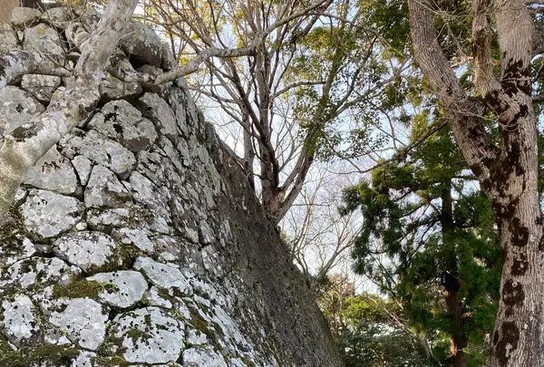 城山歴史公園の写真・動画_image_1269487