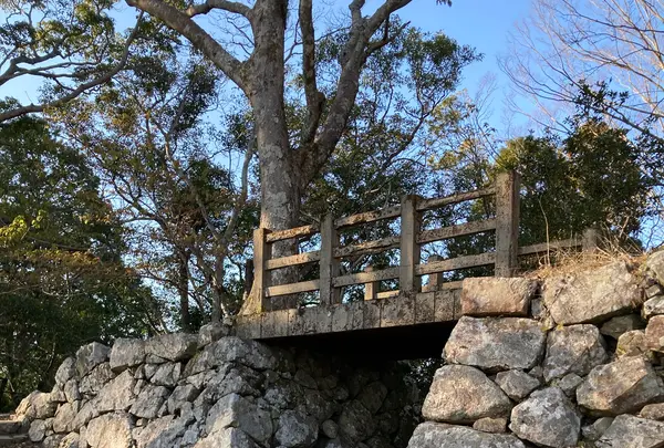 城山歴史公園の写真・動画_image_1269489