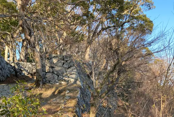 城山歴史公園の写真・動画_image_1269490