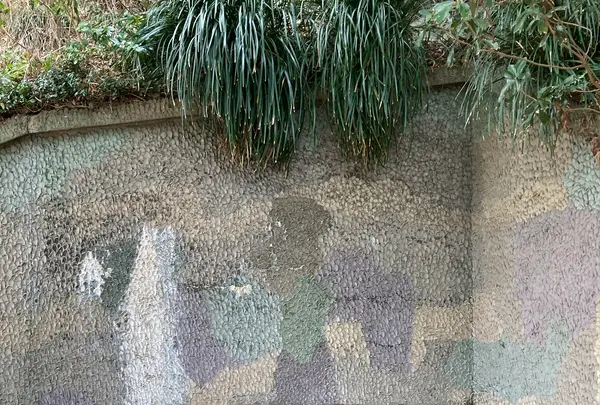 丹賀砲台園地の写真・動画_image_1269524