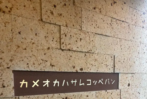 カメオカハサムコッペパンの写真・動画_image_1270367