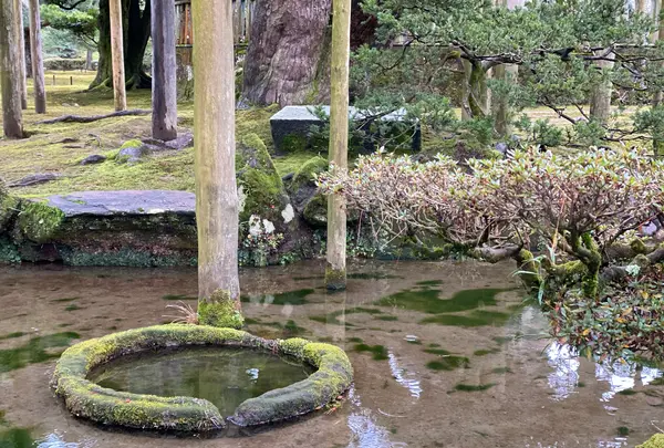 兼六園の写真・動画_image_1278053