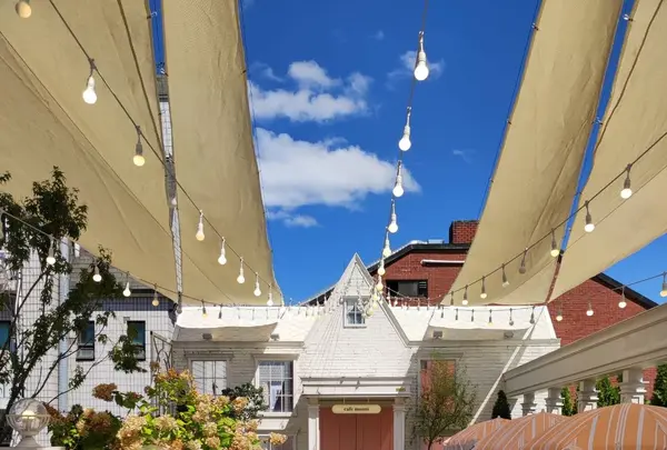 cafe mooni 狎鴎亭本店 /カペムニ アックジョンポンジョム / 카페무니 압구정본점の写真・動画_image_1280095